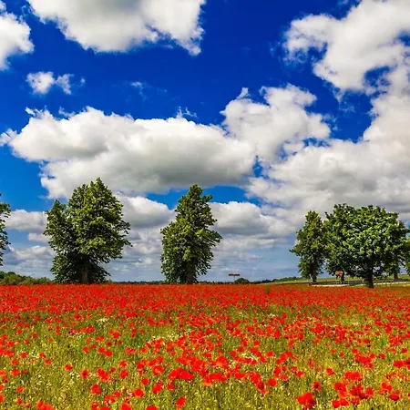 Hotelanlage Tarnewitzer Hof 3*